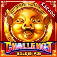 ChallengeGolden Pig